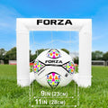 FORZA World’s Smallest Target Goal